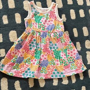 Hanna Andersson Floral Dress